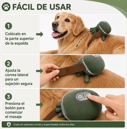 De la inquietud y la ansiedad al descanso: una nueva rutina de bienestar para tu mascota