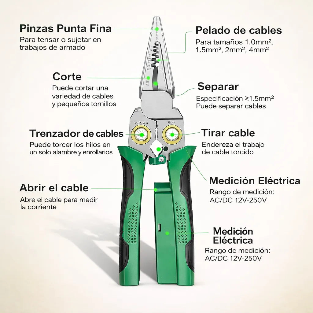 Encabezado