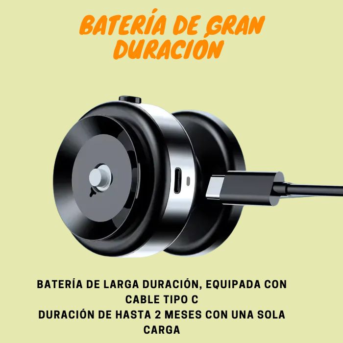 Encabezado